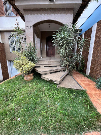 Foto REO1095122