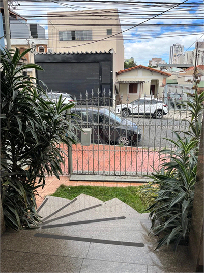Foto REO1095122