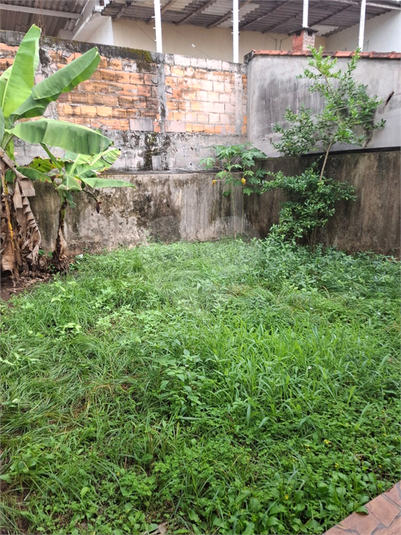 Foto REO1095123
