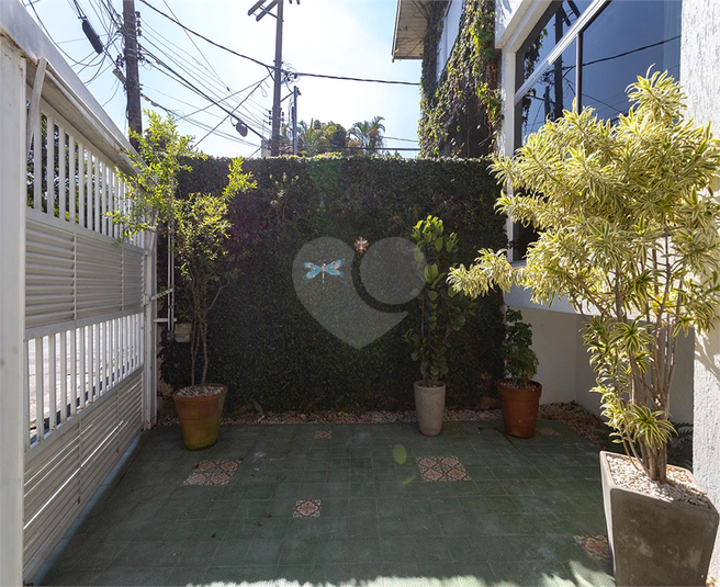 Foto REO1095126