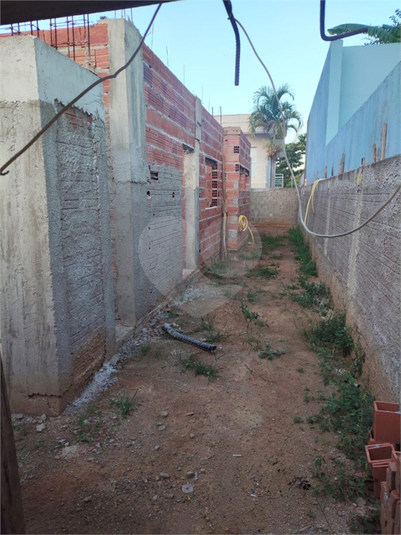 Foto REO1095128
