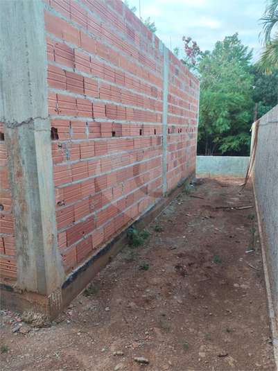 Foto REO1095128