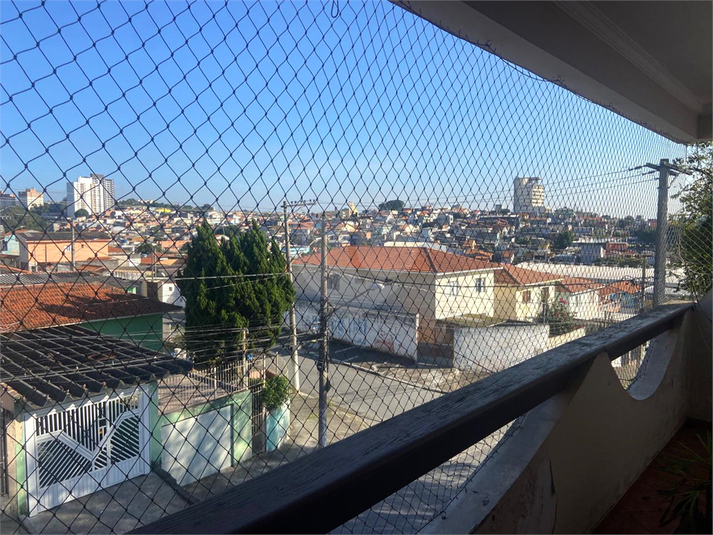 Foto REO1095135