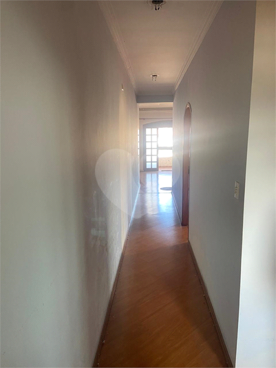 Foto REO1095135