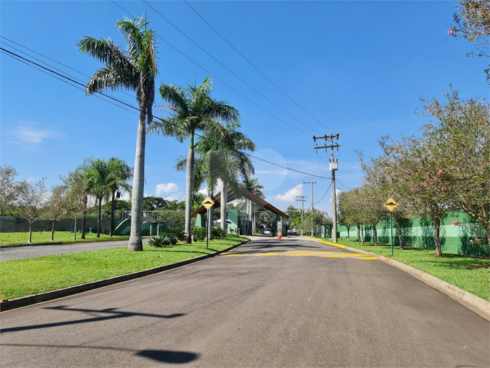Foto REO1095139