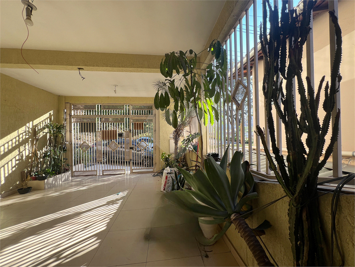 Foto REO1095155