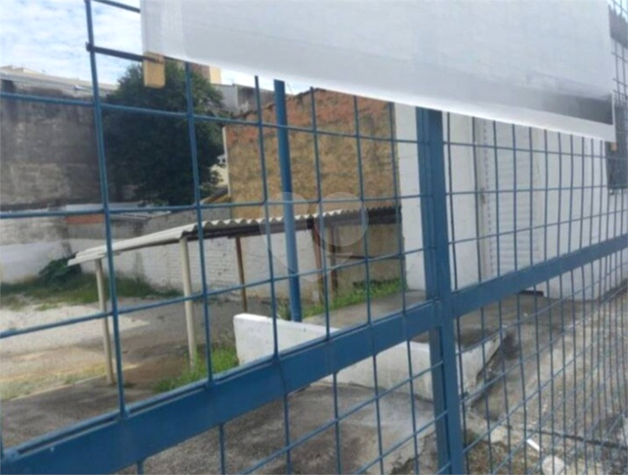 Foto REO1095156