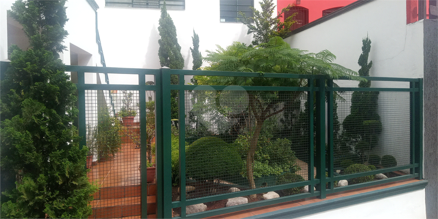 Foto REO1095159