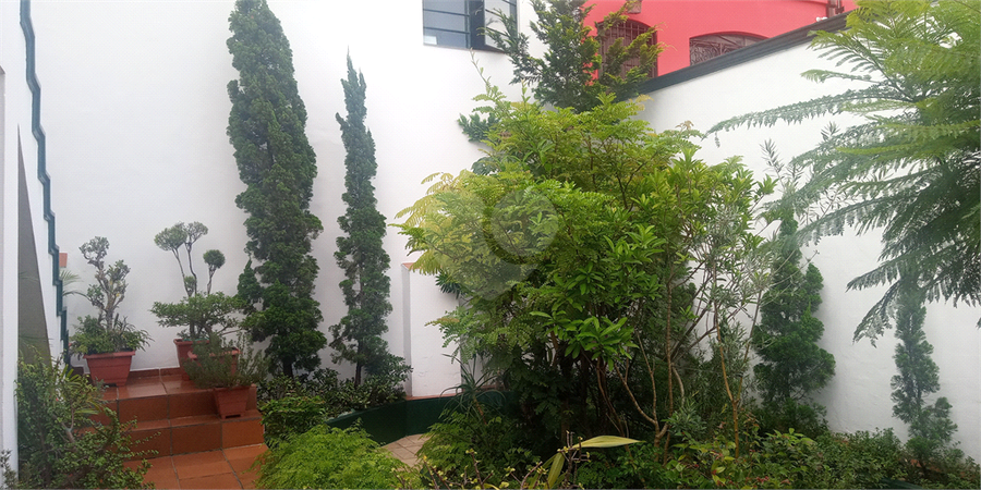 Foto REO1095159