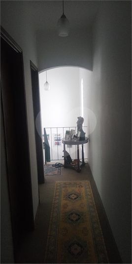 Foto REO1095159