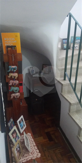 Foto REO1095159
