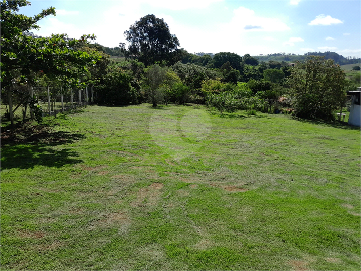 Foto REO1095162