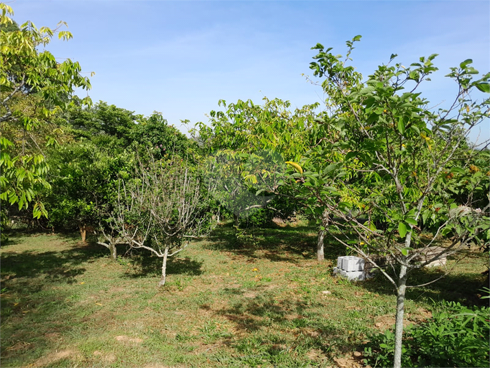 Foto REO1095162