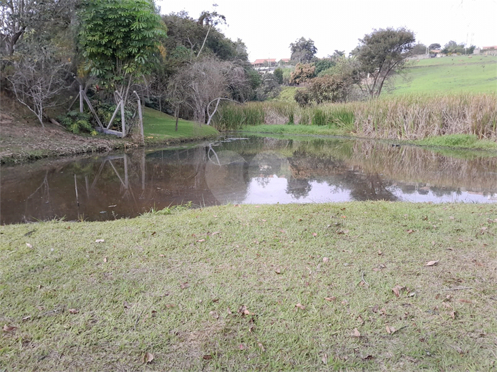 Foto REO1095162