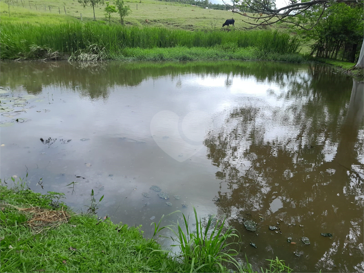 Foto REO1095162