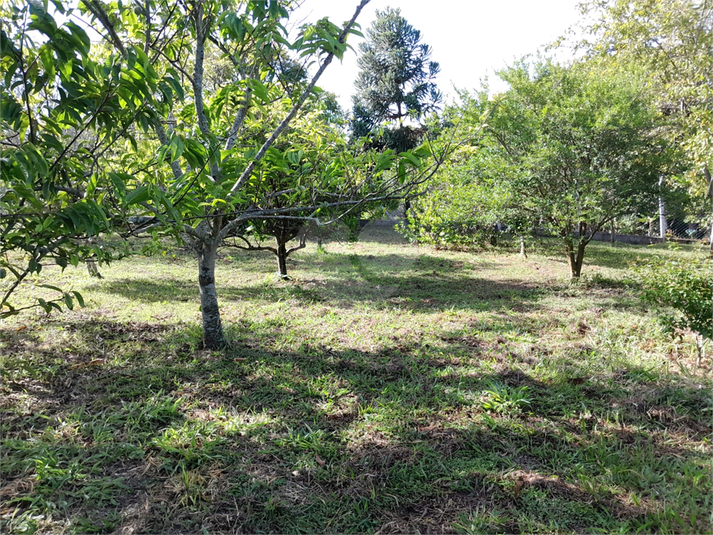 Foto REO1095162