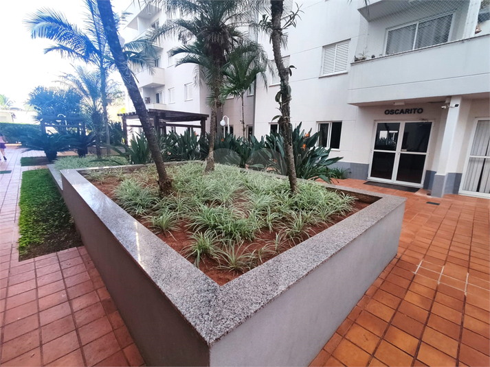Foto REO1095178