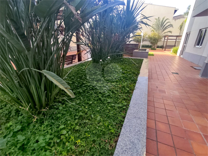 Foto REO1095178