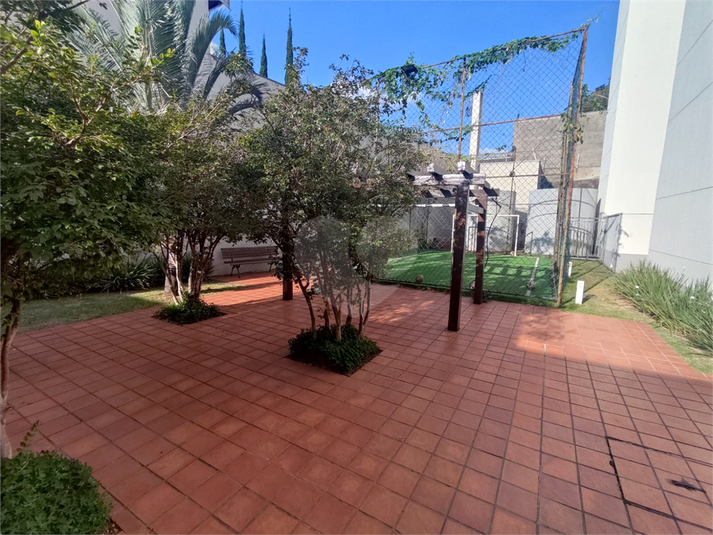 Foto REO1095178