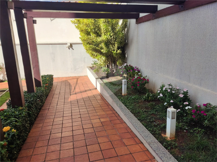 Foto REO1095178