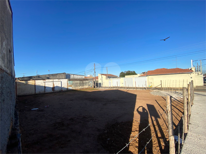 Foto REO1095182