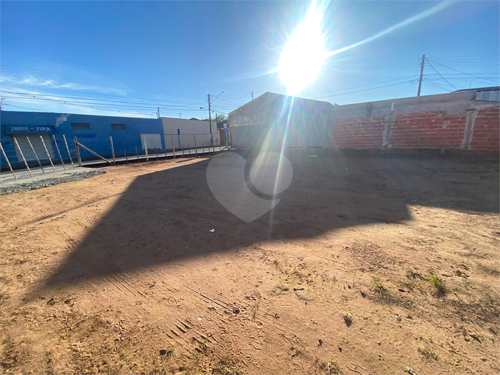 Foto REO1095182