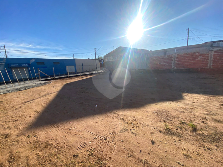 Foto REO1095182