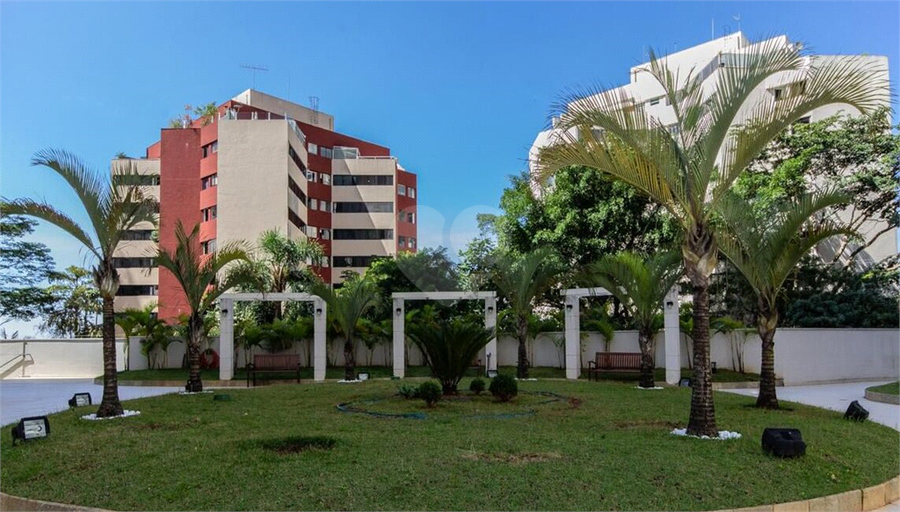 Foto REO1095191