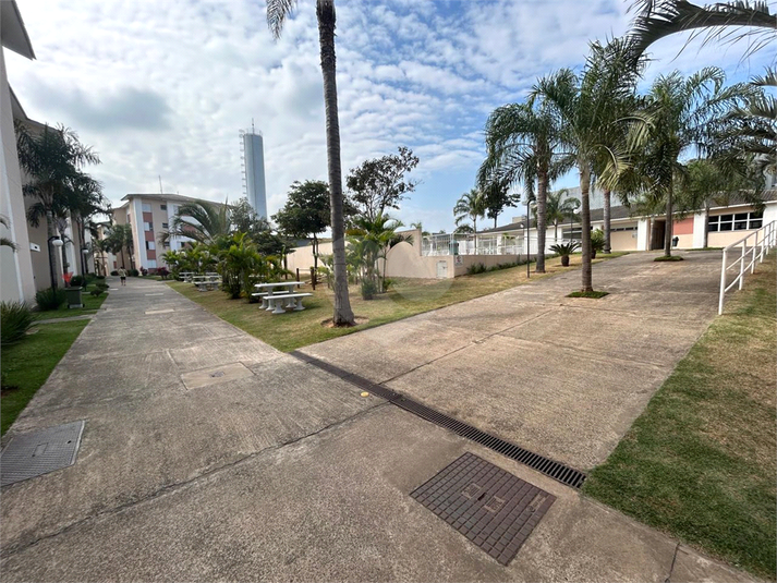 Foto REO1095193