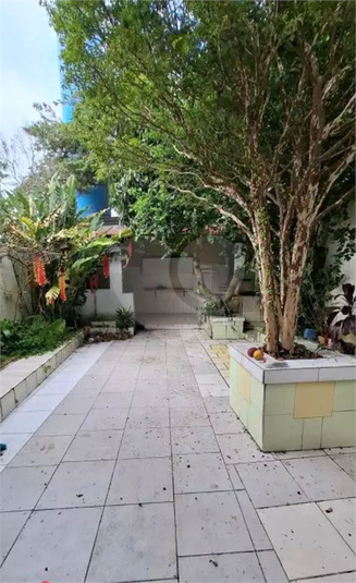 Foto REO1095203
