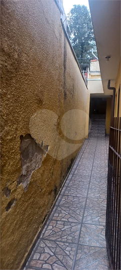 Foto REO1095207
