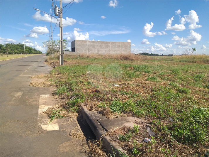 Foto REO1095211
