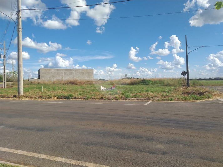 Foto REO1095211