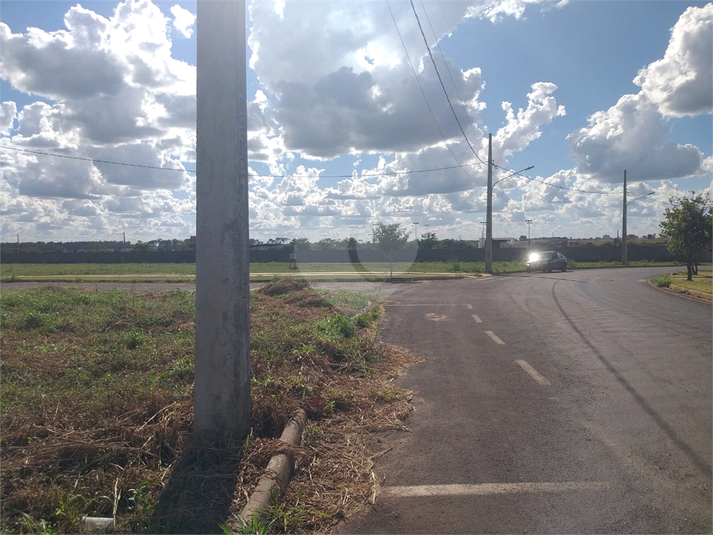 Foto REO1095211