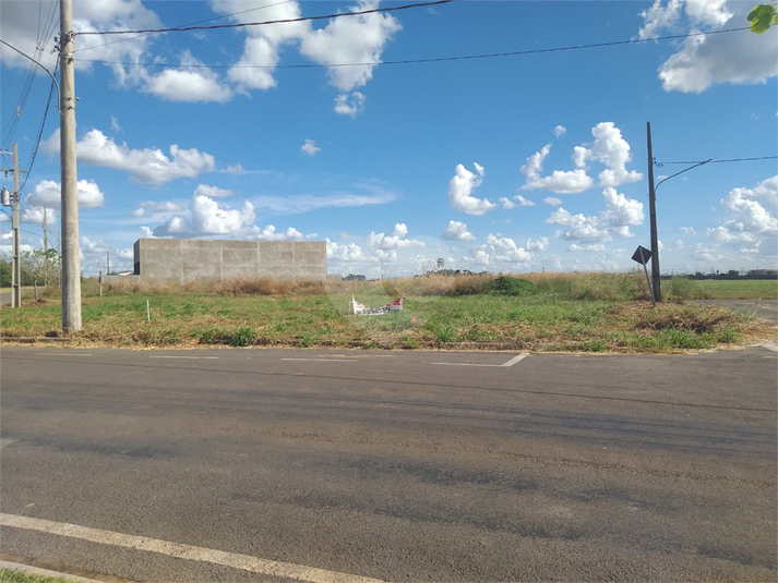 Foto REO1095211