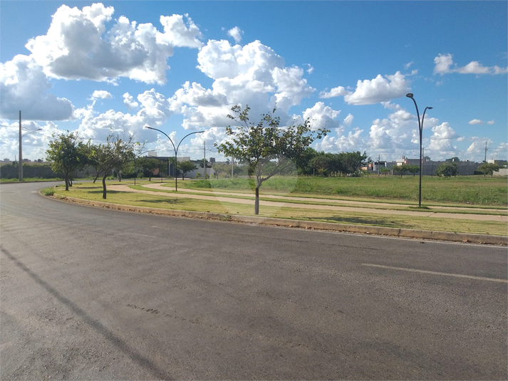 Foto REO1095211