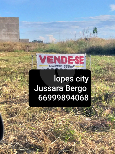 Foto REO1095211