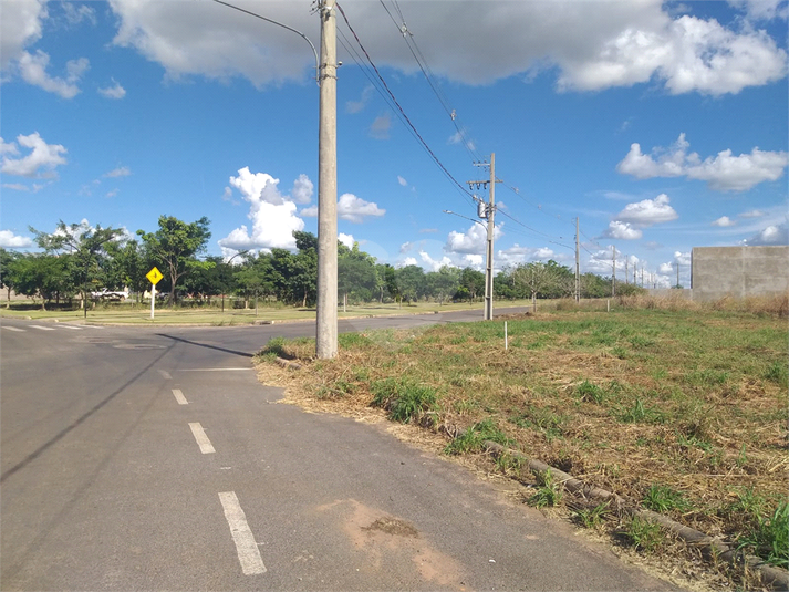 Foto REO1095211