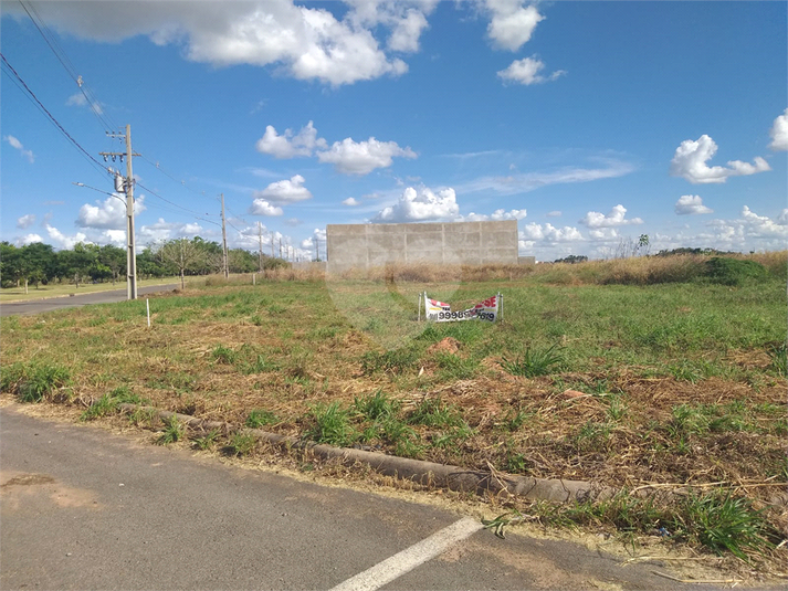 Foto REO1095211