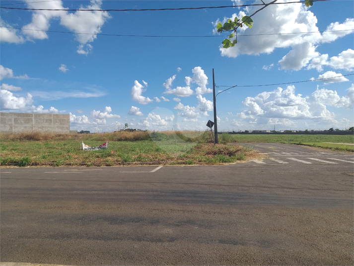 Foto REO1095211