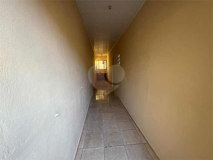 Foto REO1095212