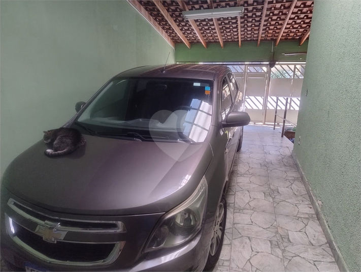 Foto REO1095217