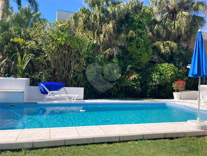 Foto REO1095218