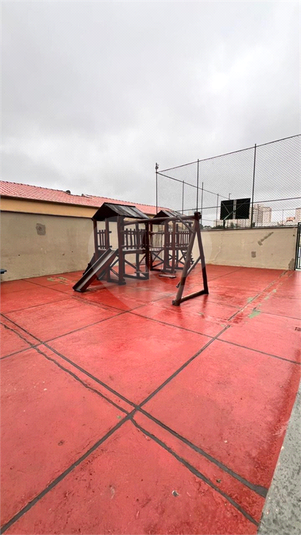 Foto REO1095219