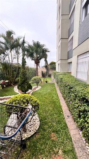 Foto REO1095219