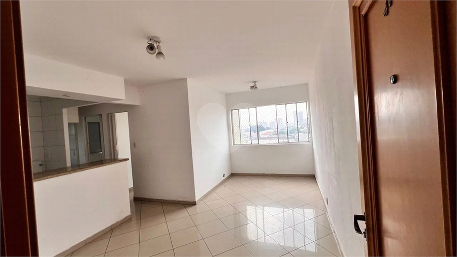 Foto REO1095221