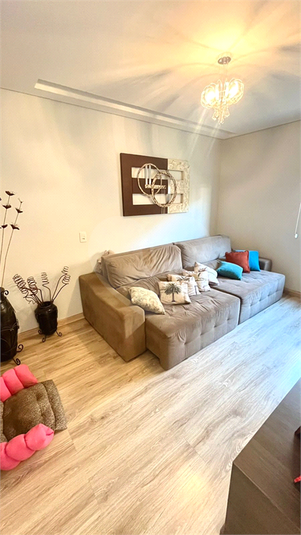 Foto REO1095222