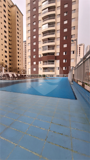 Foto REO1095227