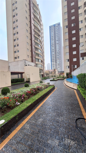 Foto REO1095227