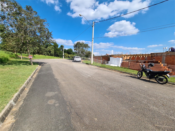 Foto REO1095228